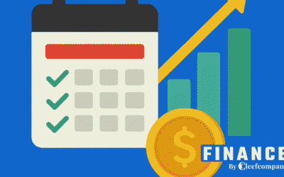 Presupuesto Anual: Planificación Financiera A Largo Plazo